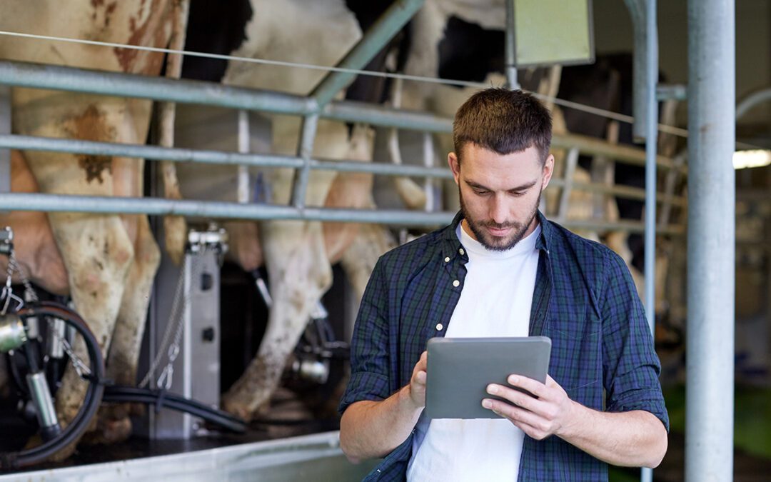 How Data in the Dairy Supply Chain Improves Transparency