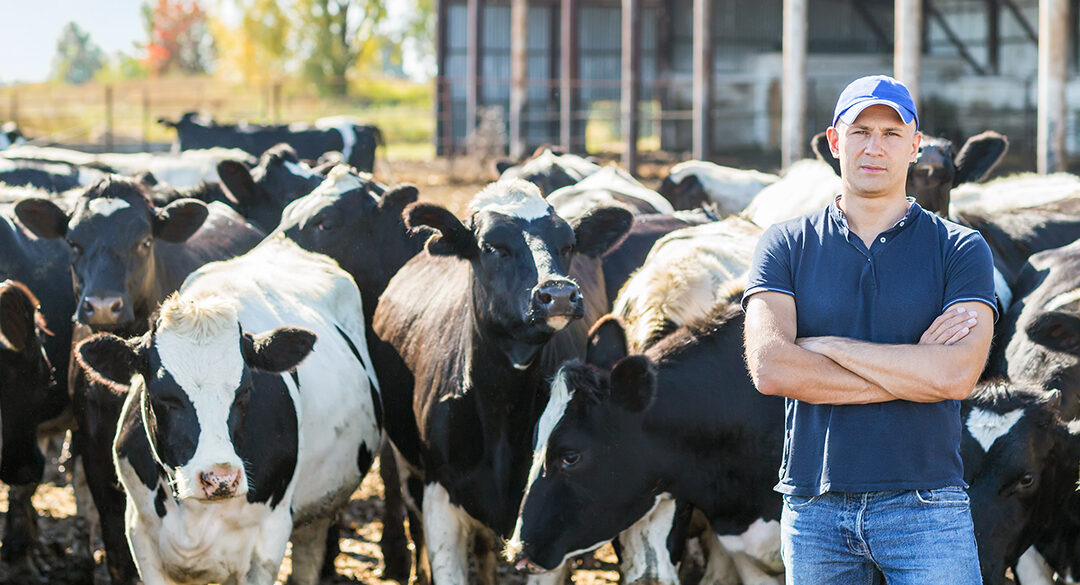 Mike North’s Dairy Background Becomes Cornerstone for Educating Producers on Market Risk 