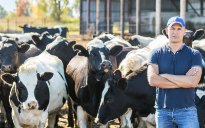 Mike North’s Dairy Background Becomes Cornerstone for Educating Producers on Market Risk 