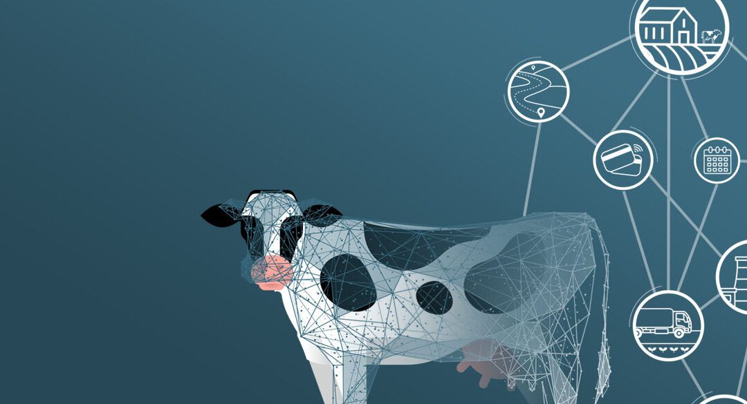 Digitizing Dairy – A Guide to Digital Transformation for Dairy Businesses in 2023
