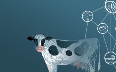 Digitizing Dairy – A Guide to Digital Transformation for Dairy Businesses