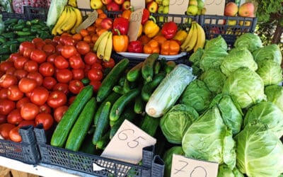 Consumer Attitudes Towards Paying for Sustainability in Food: An In-Depth Analysis