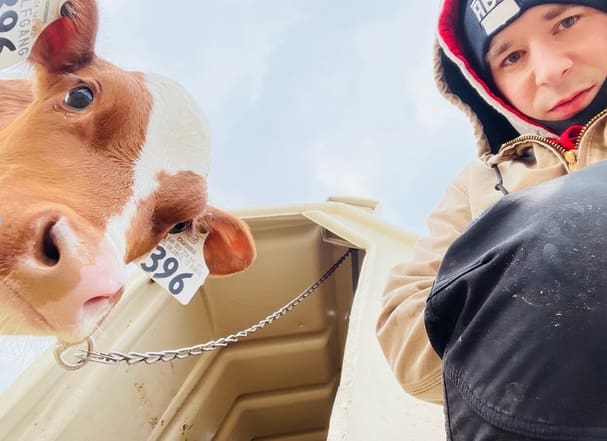 How Ever.Ag makes better and smarter connections – from cow to cup