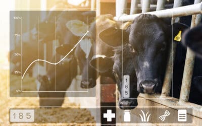 Introducing Feed King from Ever.Ag: Revolutionizing On-Farm Feed Efficiency for Dairy Farms
