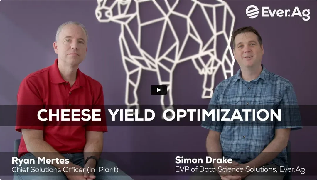 Expert Discussion on Cheese Yield Optimization