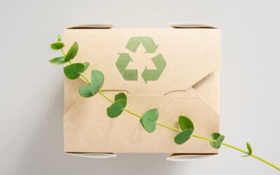 Has Sustainable Packaging Reached its Peak? 